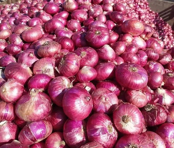 Fresh Onion