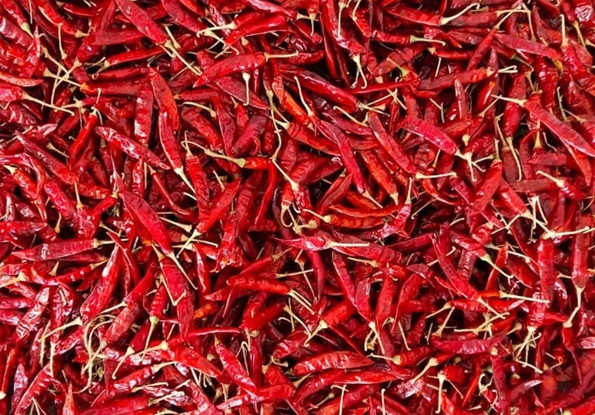 Red Chilli